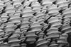 Shark Skin