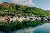 Queenstown Marina 2